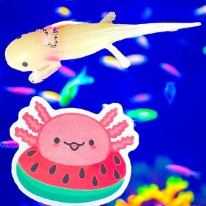 RAFTSAlotl Axolotl Crazy Trending WaterProof Single Decor Accent Sticker